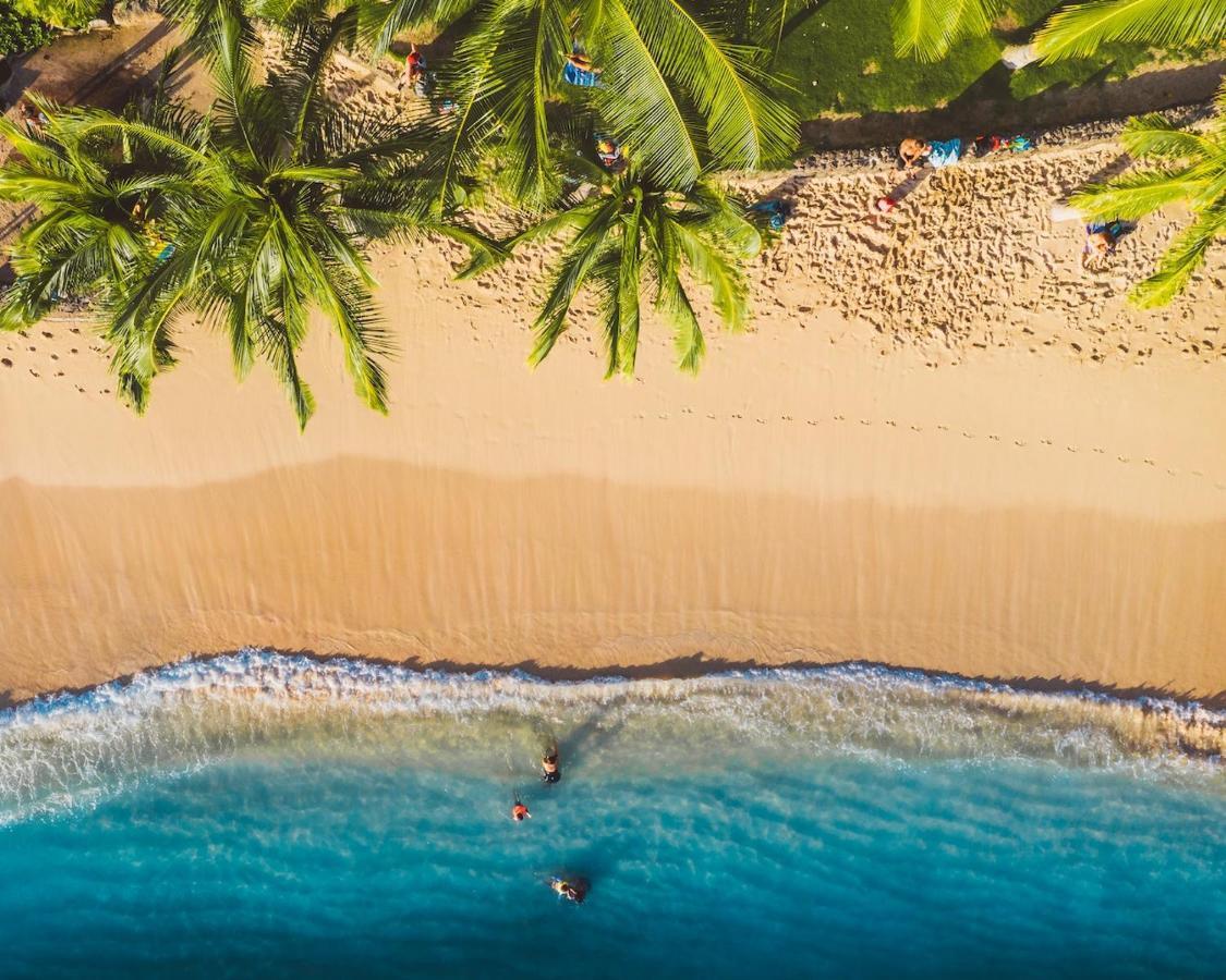 Imagine972 Martinique Bateau Hotel A Quai Le Marin 3 Cabines 3 Salles De Bains 6 Pers Maxi 외부 사진