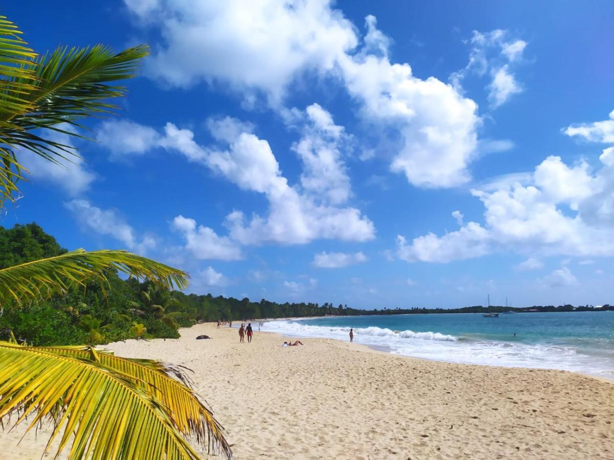 Imagine972 Martinique Bateau Hotel A Quai Le Marin 3 Cabines 3 Salles De Bains 6 Pers Maxi 외부 사진