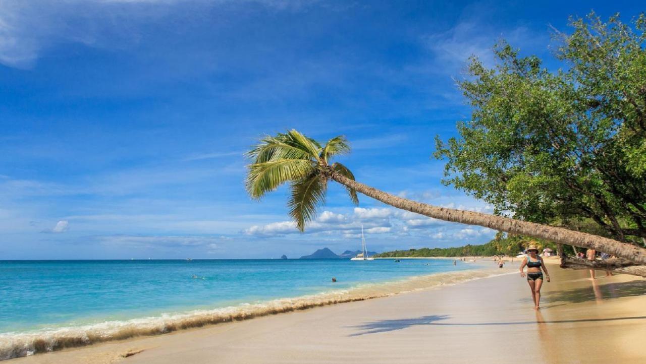 Imagine972 Martinique Bateau Hotel A Quai Le Marin 3 Cabines 3 Salles De Bains 6 Pers Maxi 외부 사진