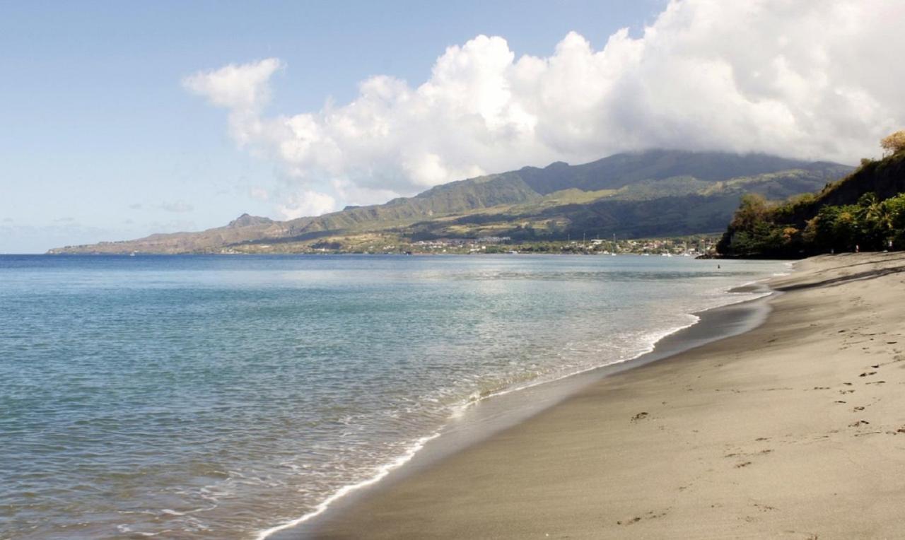 Imagine972 Martinique Bateau Hotel A Quai Le Marin 3 Cabines 3 Salles De Bains 6 Pers Maxi 외부 사진